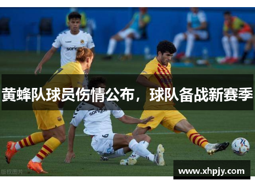 黄蜂队球员伤情公布，球队备战新赛季