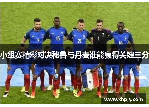 小组赛精彩对决秘鲁与丹麦谁能赢得关键三分